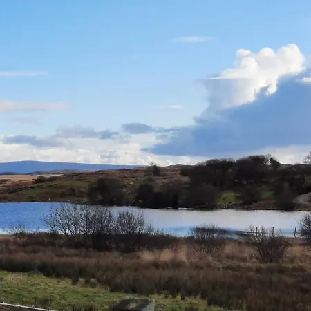 Wildflower - Countryside Lettings *