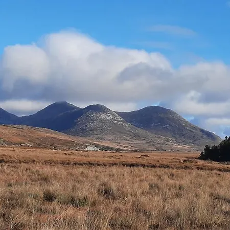 بيت للعطل Wildflower - Countryside Lettings