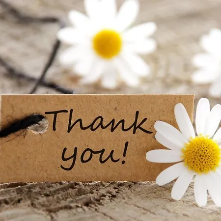 Wildflower - Countryside Lettings