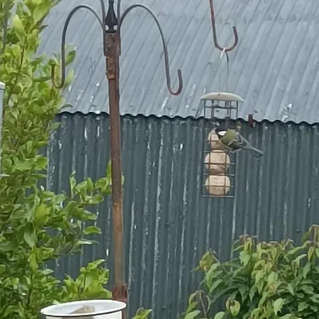 بيت للعطل Wildflower - Countryside Lettings *