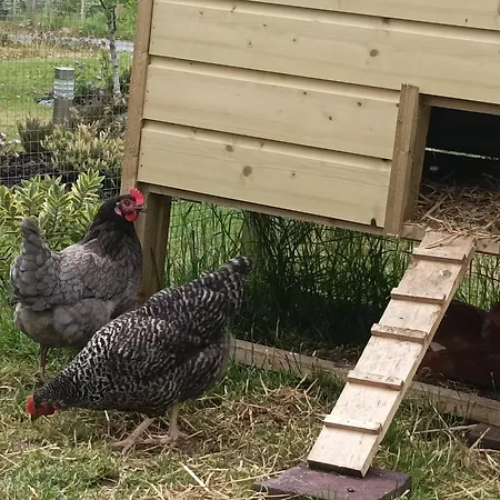 بيت للعطل Wildflower - Countryside Lettings