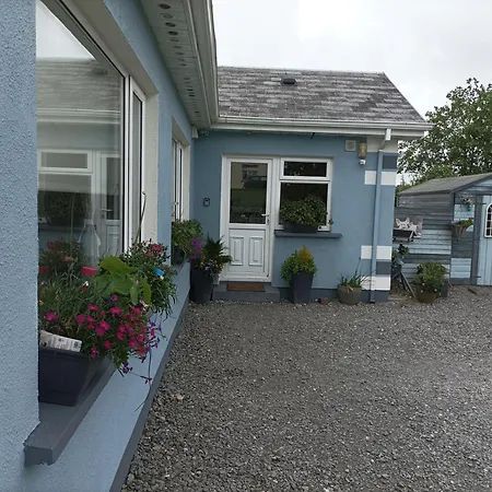 Wildflower - Countryside Lettings