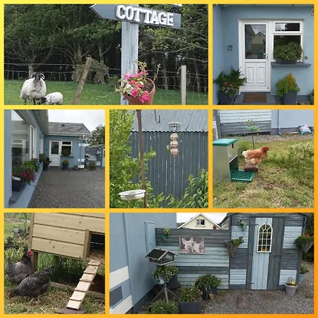 Wildflower - Countryside Lettings بيت للعطل *