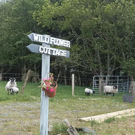 別荘 Wildflower - Countryside Lettings クリフデン