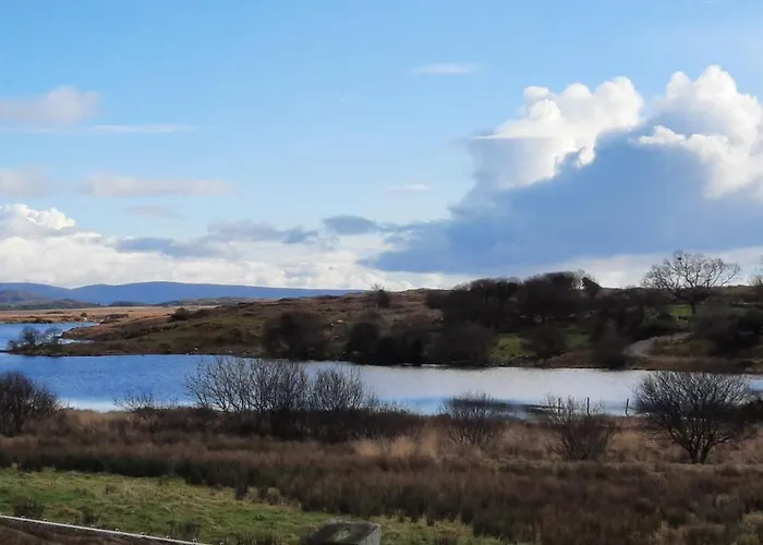 Wildflower - Countryside Lettings *