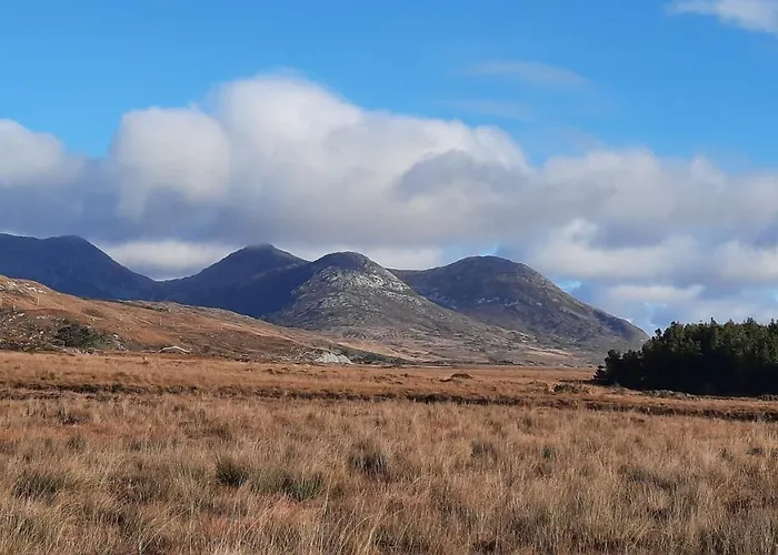 Casa de Férias Wildflower - Countryside Lettings