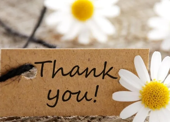 Wildflower - Countryside Lettings