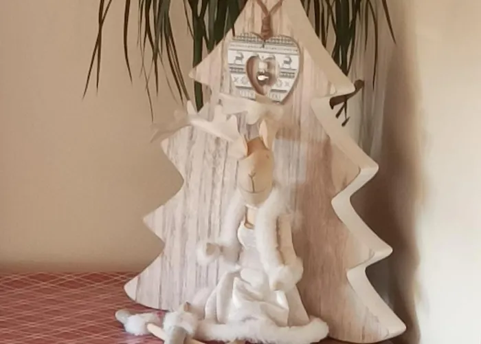 Wildflower - Countryside Lettings * Clifden