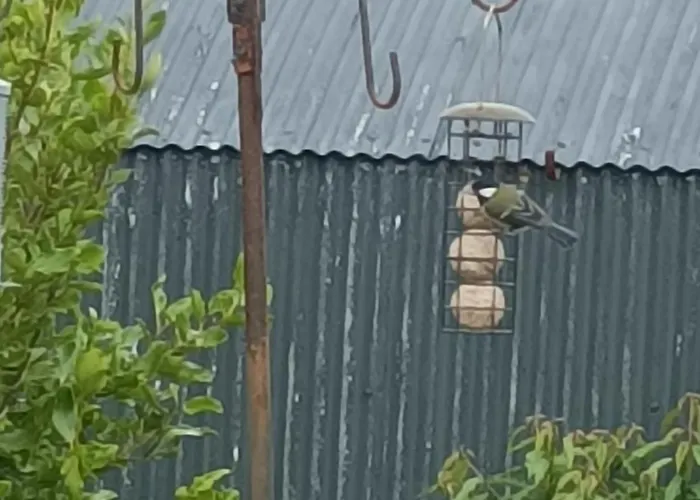 Дом отдыха Wildflower - Countryside Lettings *