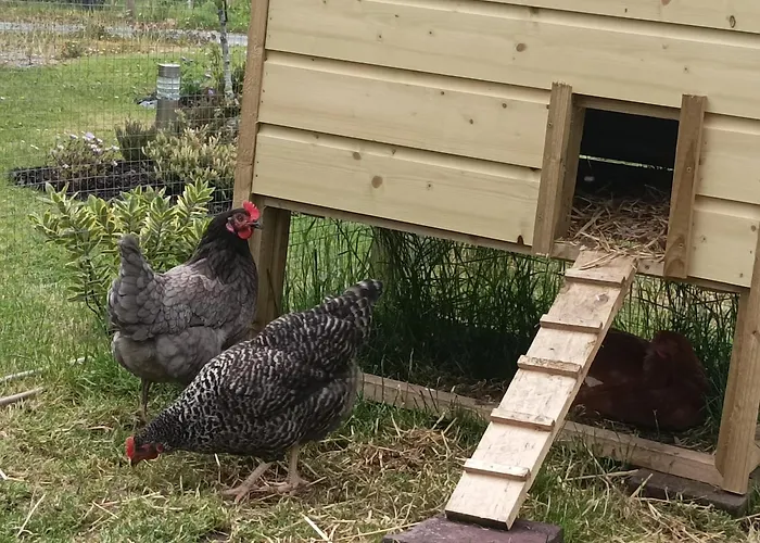 Дом отдыха Wildflower - Countryside Lettings