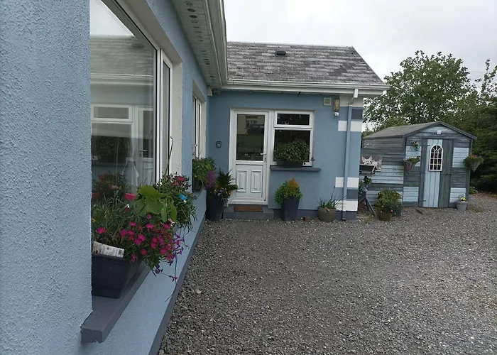 Wildflower - Countryside Lettings