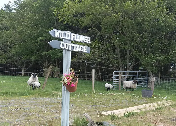 別荘 Wildflower - Countryside Lettings クリフデン